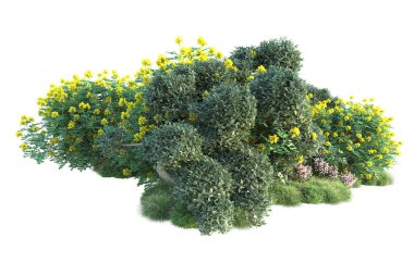 Beyaz arka planda yeşil arazi izole edilmiş. 3d görüntüleme - illüstrasyon