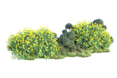 Beyaz arka planda yeşil arazi izole edilmiş. 3d görüntüleme - illüstrasyon