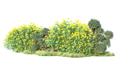 Beyaz arka planda yeşil arazi izole edilmiş. 3d görüntüleme - illüstrasyon