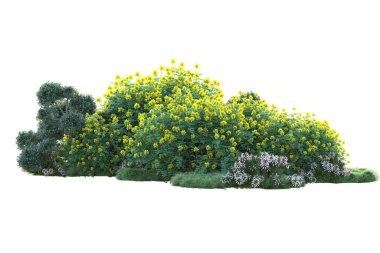 Beyaz arka planda yeşil arazi izole edilmiş. 3d görüntüleme - illüstrasyon