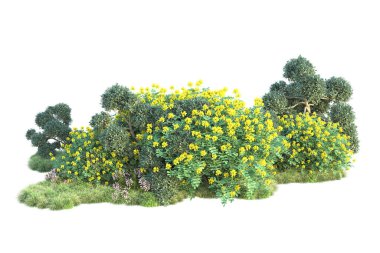 Beyaz arka planda yeşil arazi izole edilmiş. 3d görüntüleme - illüstrasyon