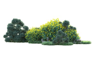 Beyaz arka planda yeşil arazi izole edilmiş. 3d görüntüleme - illüstrasyon