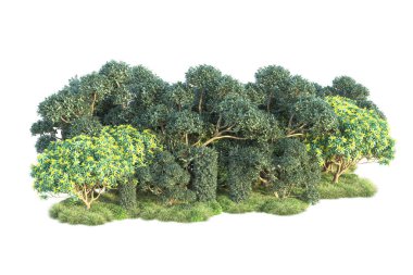 Beyaz arka planda yeşil arazi izole edilmiş. 3d görüntüleme - illüstrasyon