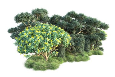 Beyaz arka planda yeşil arazi izole edilmiş. 3d görüntüleme - illüstrasyon