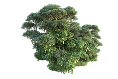 Beyaz arka planda yeşil arazi izole edilmiş. 3d görüntüleme - illüstrasyon