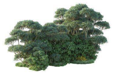 Beyaz arka planda yeşil arazi izole edilmiş. 3d görüntüleme - illüstrasyon