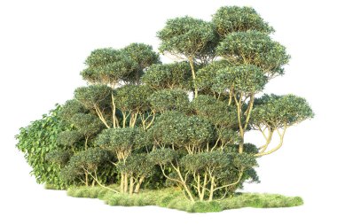 Beyaz arka planda yeşil arazi izole edilmiş. 3d görüntüleme - illüstrasyon