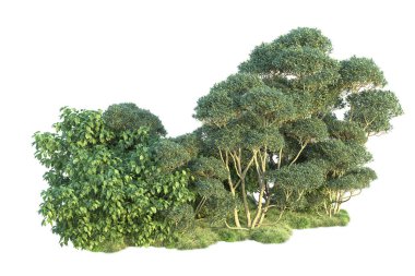 Beyaz arka planda yeşil arazi izole edilmiş. 3d görüntüleme - illüstrasyon