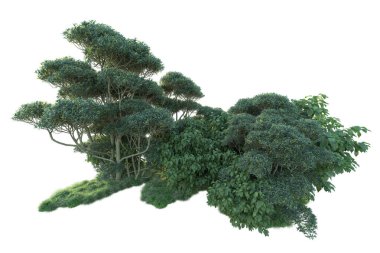 Yeşil orman beyaz arka planda izole edilmiş. gerçekçi 3d illüstrasyon 