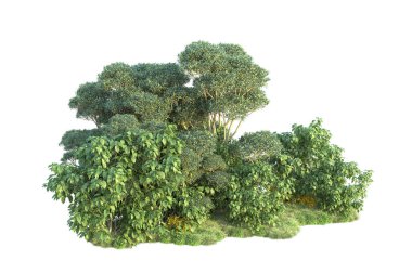 çevre kavramı. Parkta yeşil ağaçlar. Beyaz arka planda izole edilmiş sanat. 3d resimleme