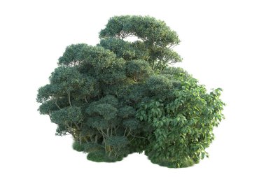 Yeşil orman beyaz arka planda izole edilmiş. gerçekçi 3d illüstrasyon 