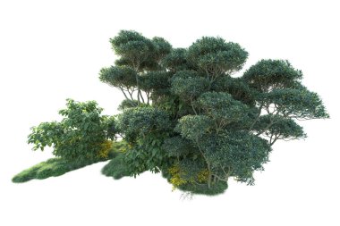 Yeşil orman beyaz arka planda izole edilmiş. gerçekçi 3d illüstrasyon 