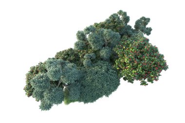 çevre kavramı. Parkta yeşil ağaçlar. Beyaz arka planda izole edilmiş sanat. 3d resimleme