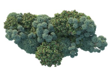 Orman ağaçları arka planda izole. 3d resimleme