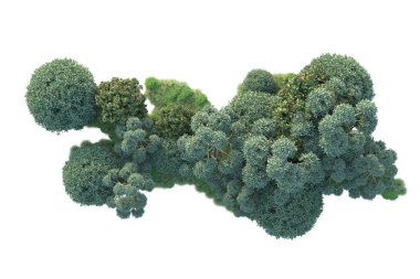 3D park illüstrasyonu. Beyaz arkaplanda izole edilmiş yaz ağaçları