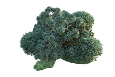 3D park illüstrasyonu. Beyaz arkaplanda izole edilmiş yaz ağaçları