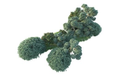 Yeşil orman beyaz arka planda izole edilmiş. gerçekçi 3d illüstrasyon 