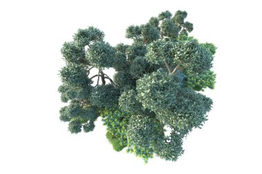 Yeşil orman beyaz arka planda izole edilmiş. gerçekçi 3d illüstrasyon 