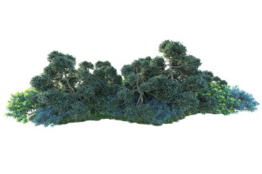 3D park illüstrasyonu. Beyaz arkaplanda izole edilmiş yaz ağaçları