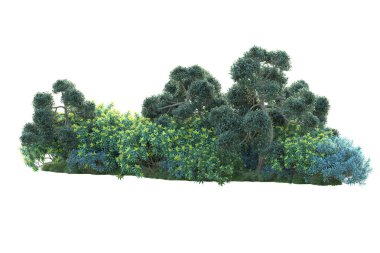 3D park illüstrasyonu. Beyaz arkaplanda izole edilmiş yaz ağaçları