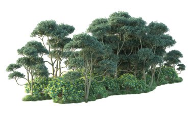 Gerçekçi 3D çizim. Yeşil orman beyaz arkaplanda izole