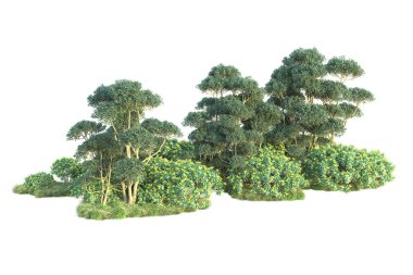 3D park illüstrasyonu. Beyaz arkaplanda izole edilmiş yaz ağaçları