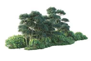 çevre kavramı. Parkta yeşil ağaçlar. Beyaz arka planda izole edilmiş sanat. 3d resimleme