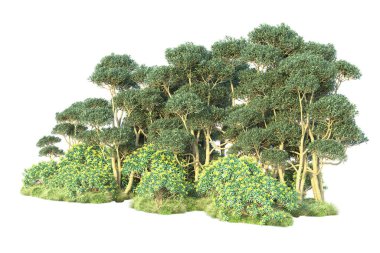 Gerçekçi 3D çizim. Yeşil orman beyaz arkaplanda izole