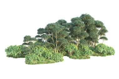 Gerçekçi 3D çizim. Yeşil orman beyaz arkaplanda izole