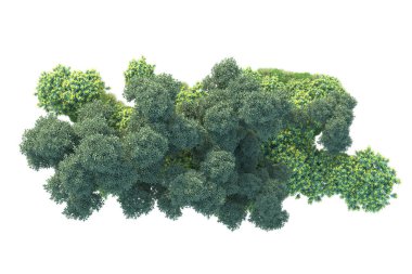 Gerçekçi 3D çizim. Yeşil orman beyaz arkaplanda izole