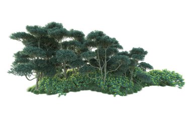 Gerçekçi 3D çizim. Yeşil orman beyaz arkaplanda izole
