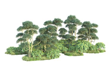 Gerçekçi 3D çizim. Yeşil orman beyaz arkaplanda izole