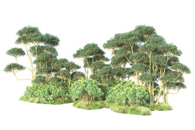 3D park illüstrasyonu. Beyaz arkaplanda izole edilmiş yaz ağaçları