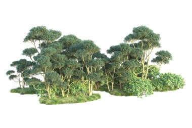 Parktaki ağaçlar ve bitkiler. Beyaz arka planda izole edilmiş sanat. 3d resimleme