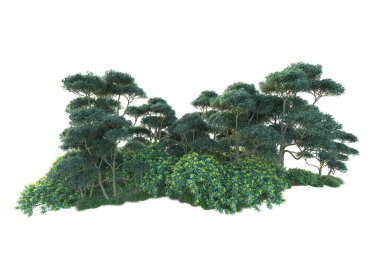 Parktaki ağaçlar ve bitkiler. Beyaz arka planda izole edilmiş sanat. 3d resimleme