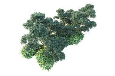 Parktaki ağaçlar ve bitkiler. Beyaz arka planda izole edilmiş sanat. 3d resimleme