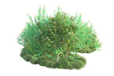 Parktaki ağaçlar ve bitkiler. Beyaz arka planda izole edilmiş sanat. 3d resimleme