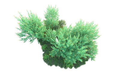 Parktaki ağaçlar ve bitkiler. 3d resimleme