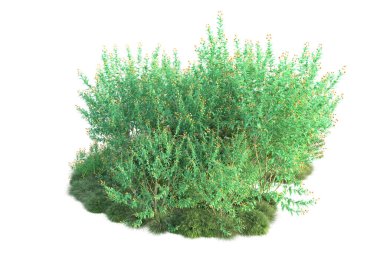 Parktaki ağaçlar ve bitkiler. 3d resimleme