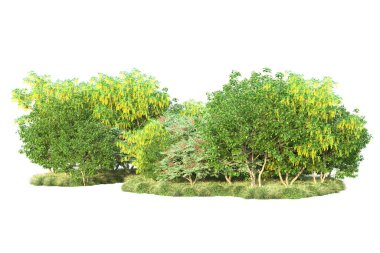 Parktaki ağaçlar ve bitkiler. 3d resimleme