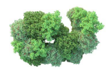 Parktaki ağaçlar ve bitkiler. 3d resimleme