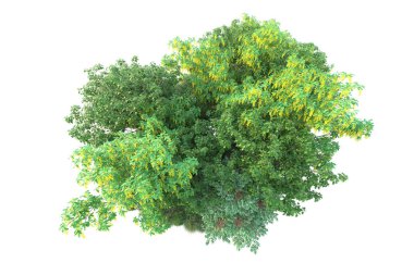 Yeşil yapraklar. Parktaki ağaçlar ve bitkiler. 3d resimleme