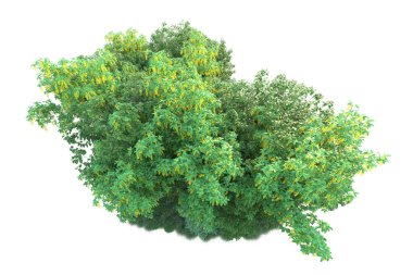 Yeşil yapraklar. Parktaki ağaçlar ve bitkiler. 3d resimleme