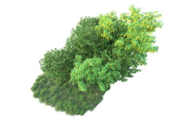 Yeşil yapraklar. Parktaki ağaçlar ve bitkiler. 3d resimleme