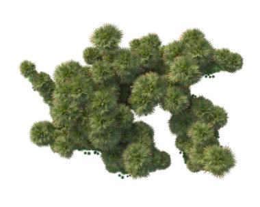 Beyaz arka planda palmiye ağaçları olan tropikal orman manzarası