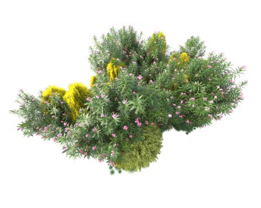 Yeşil ağaçların yaprakları. 3d resimleme