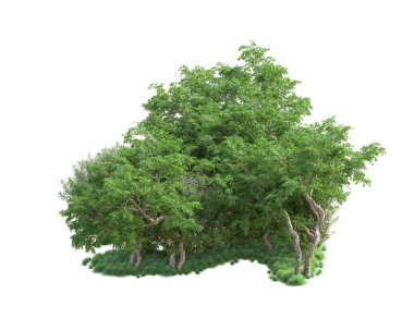 Yeşil ağaçların yaprakları. 3d resimleme