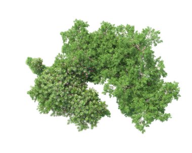 Beyaz arka planda yeşil arazi izole edilmiş. 3d görüntüleme - illüstrasyon