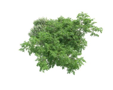 Beyaz arka planda yeşil arazi izole edilmiş. 3d görüntüleme - illüstrasyon