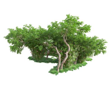 Beyaz arka planda yeşil arazi izole edilmiş. 3d görüntüleme - illüstrasyon